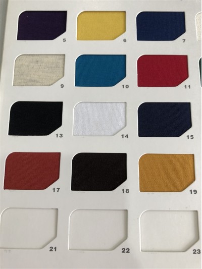 GZ-LTTG 40S棉拉架雙面(食毛) DG0151 240-250G 後面照